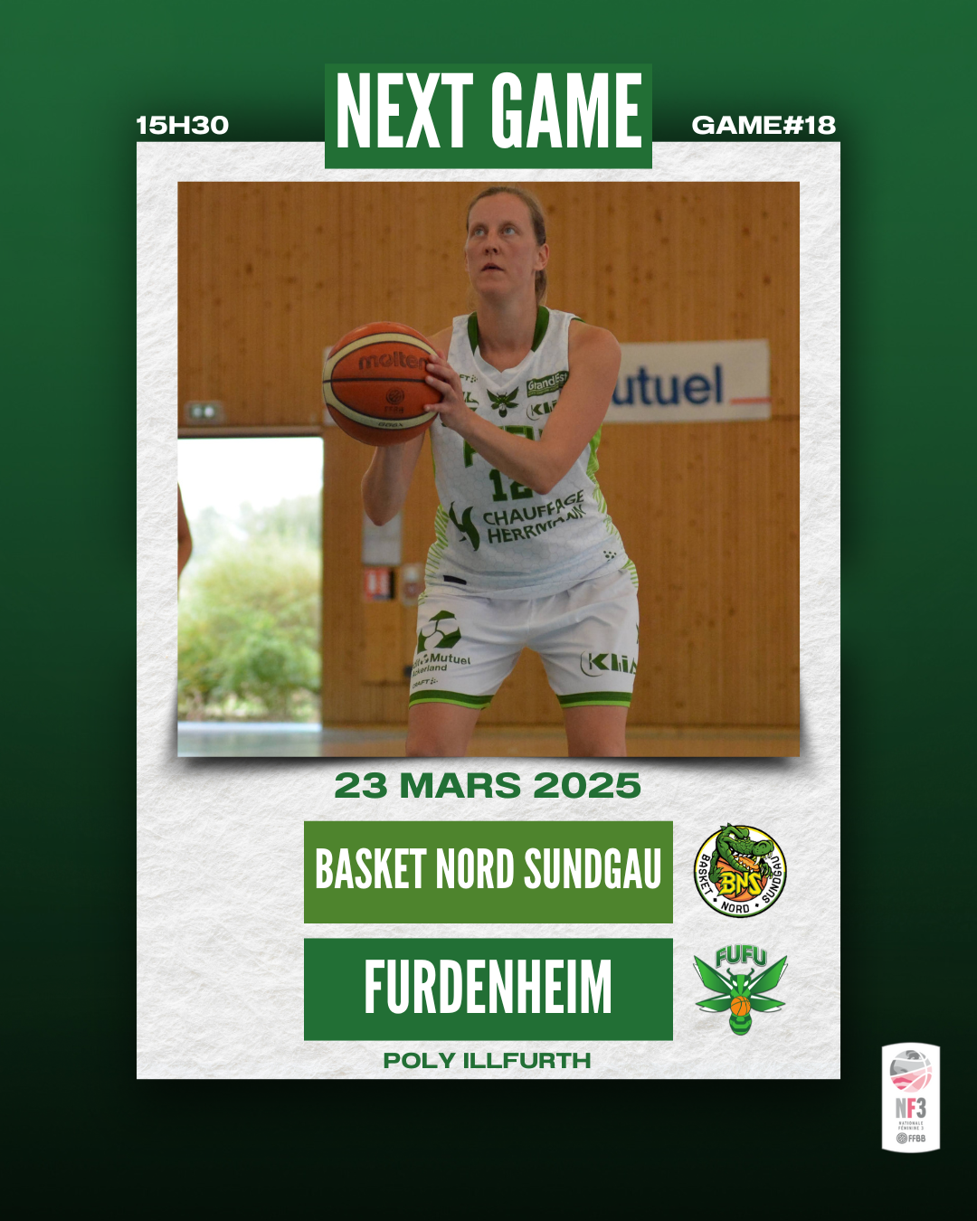SF1 VS BASKET NORD SUNDGAU
