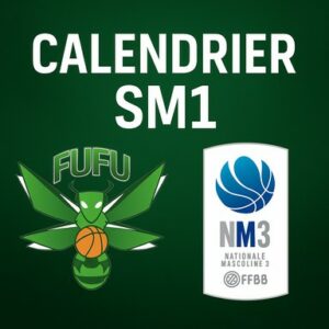 Calendrier des SM1 en NM3