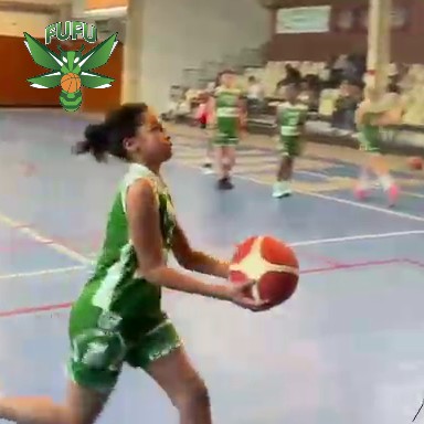 Vidéo de présentation U11F